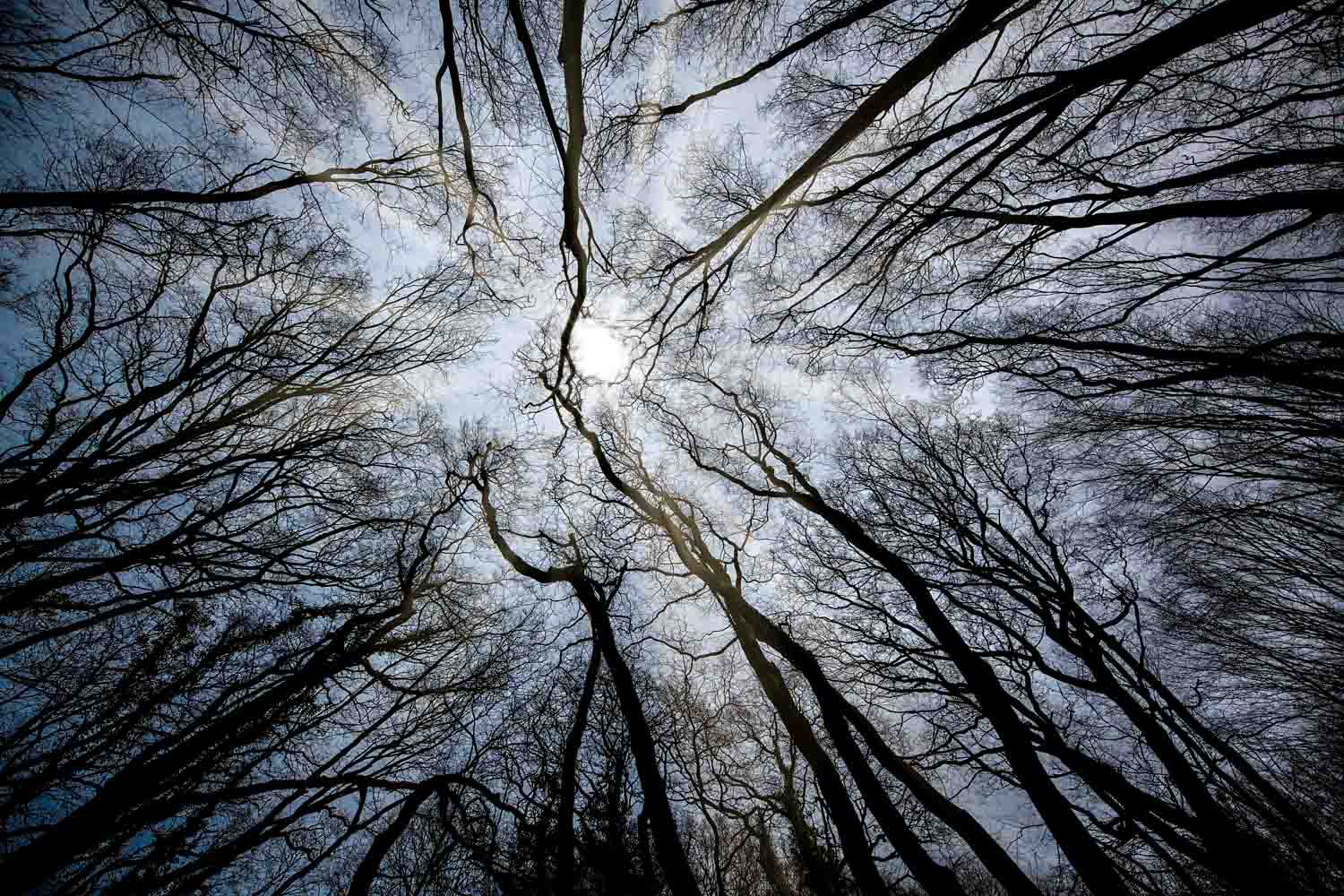 Landscapes – photograph by Chris Jullings