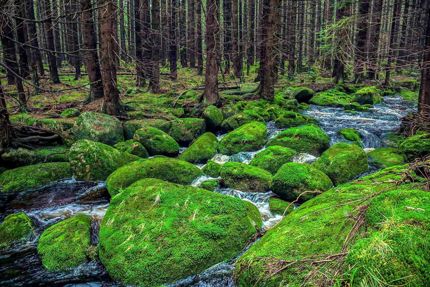Landscapes – photograph by Chris Jullings